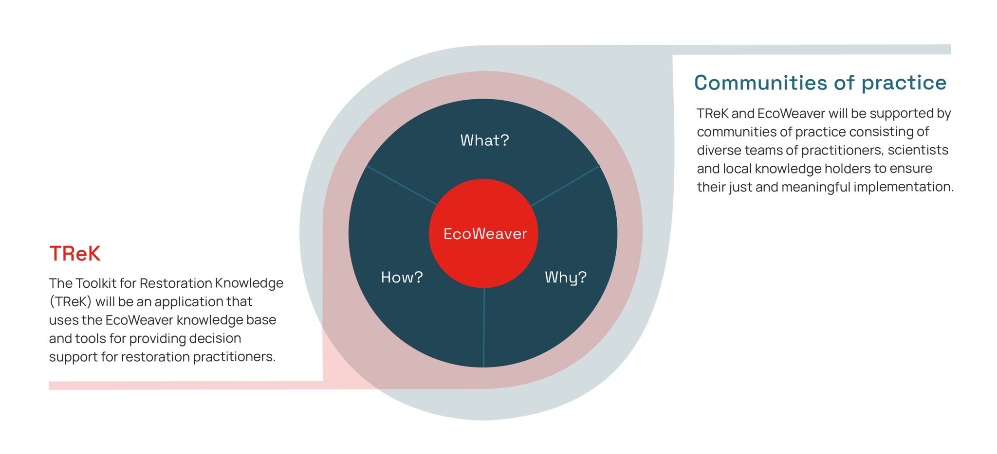 EcoWeaver_Infographic
